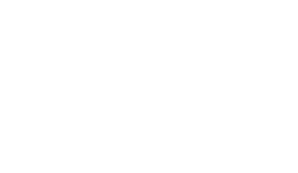 Stringee